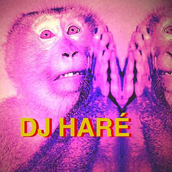 A monkey with a surprised expression is shown in a mirrored, pink-toned image. The words DJ HARÉ appear in bold yellow and red text across the bottom, capturing the playful vibe of modern soul and summer energy.