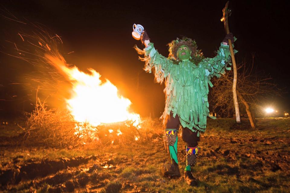 wassail