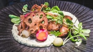 A gourmet dish featuring seared meat, lotus root chips, radishes, microgreens, and pearl onions on a swirl of creamy herb sauce infused with milk stout, elegantly presented on a dark textured plate.