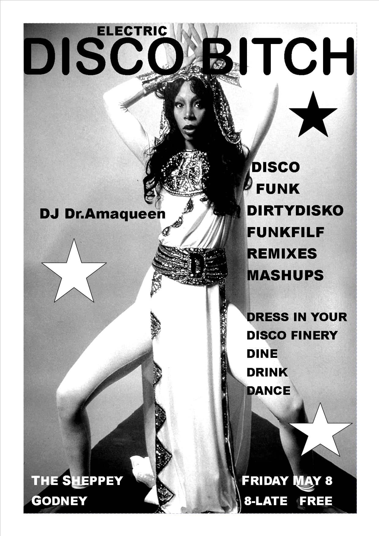 Electric Disco bitch poster for a Dj night at the sheppey inn