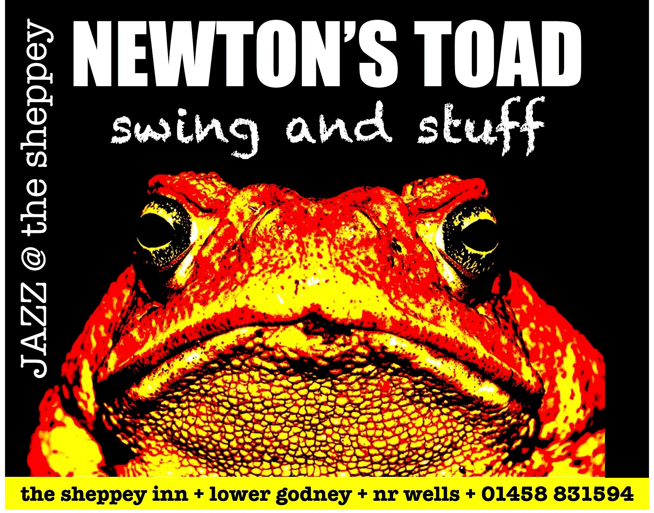 Poster for a jazz club event featuring a close-up of an orange toad. Text reads NEWTONS TOAD swing and stuff, live jazz @ the sheppey, and venue details: Sheppey Inn, Lower Godney, Nr Wells, 01458 831594.