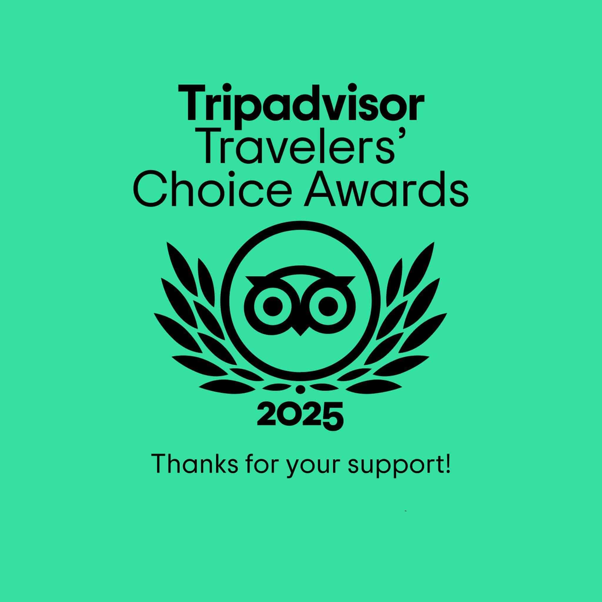 trip advisor travelers choice award
